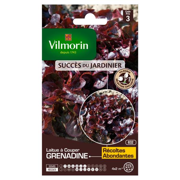 Potagères - Laitue à Couper Feuille de Chêne Grenadine - face recto